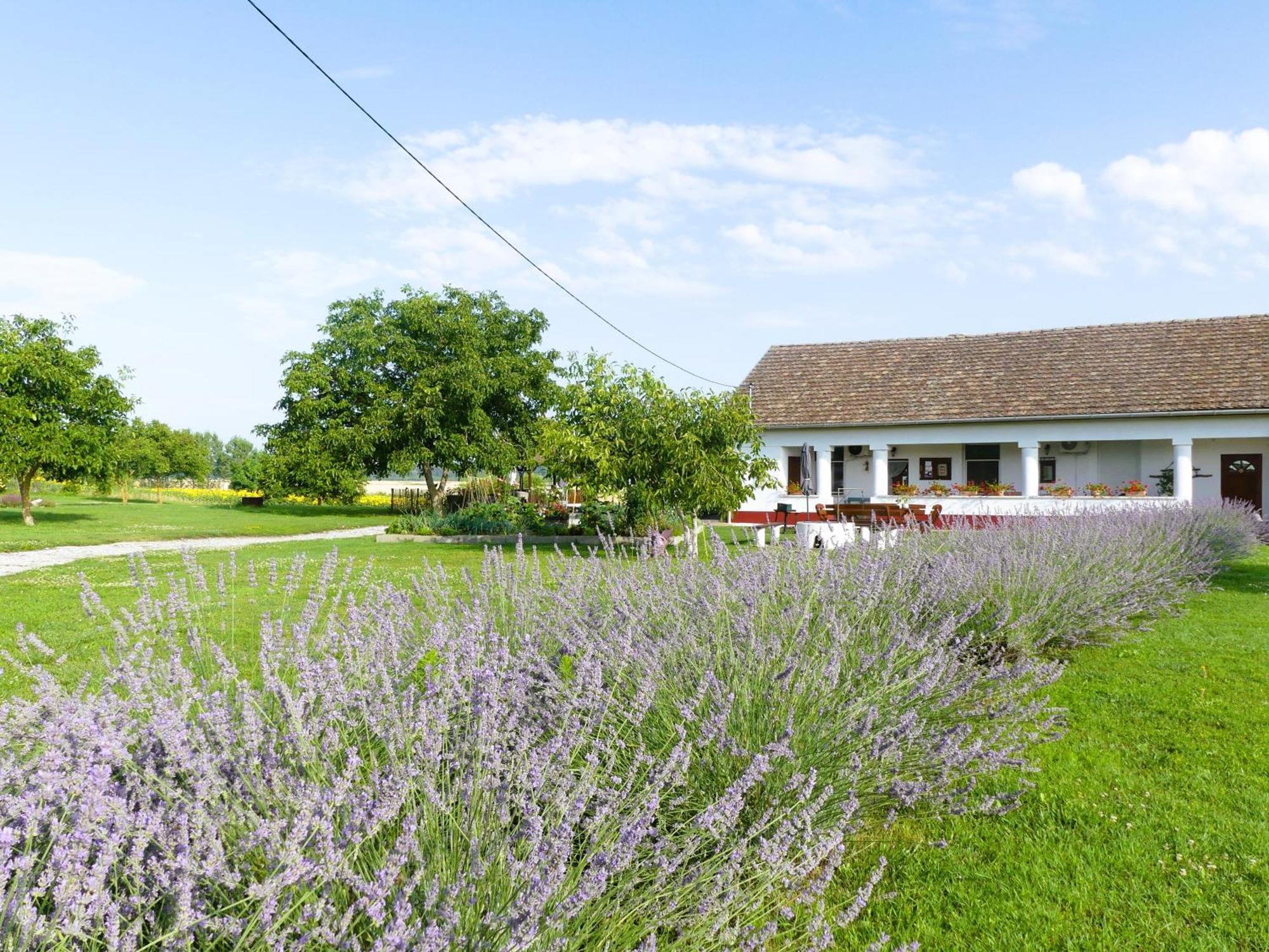 Bed and Breakfast Tisza White House Tiszaszolos Exterior foto