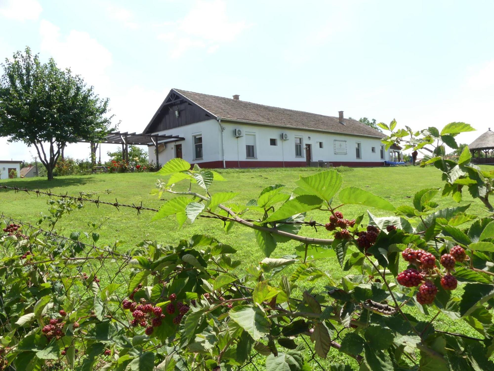 Bed and Breakfast Tisza White House Tiszaszolos Exterior foto